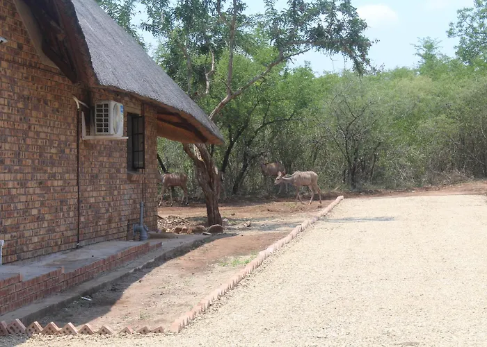 Kruger Nest