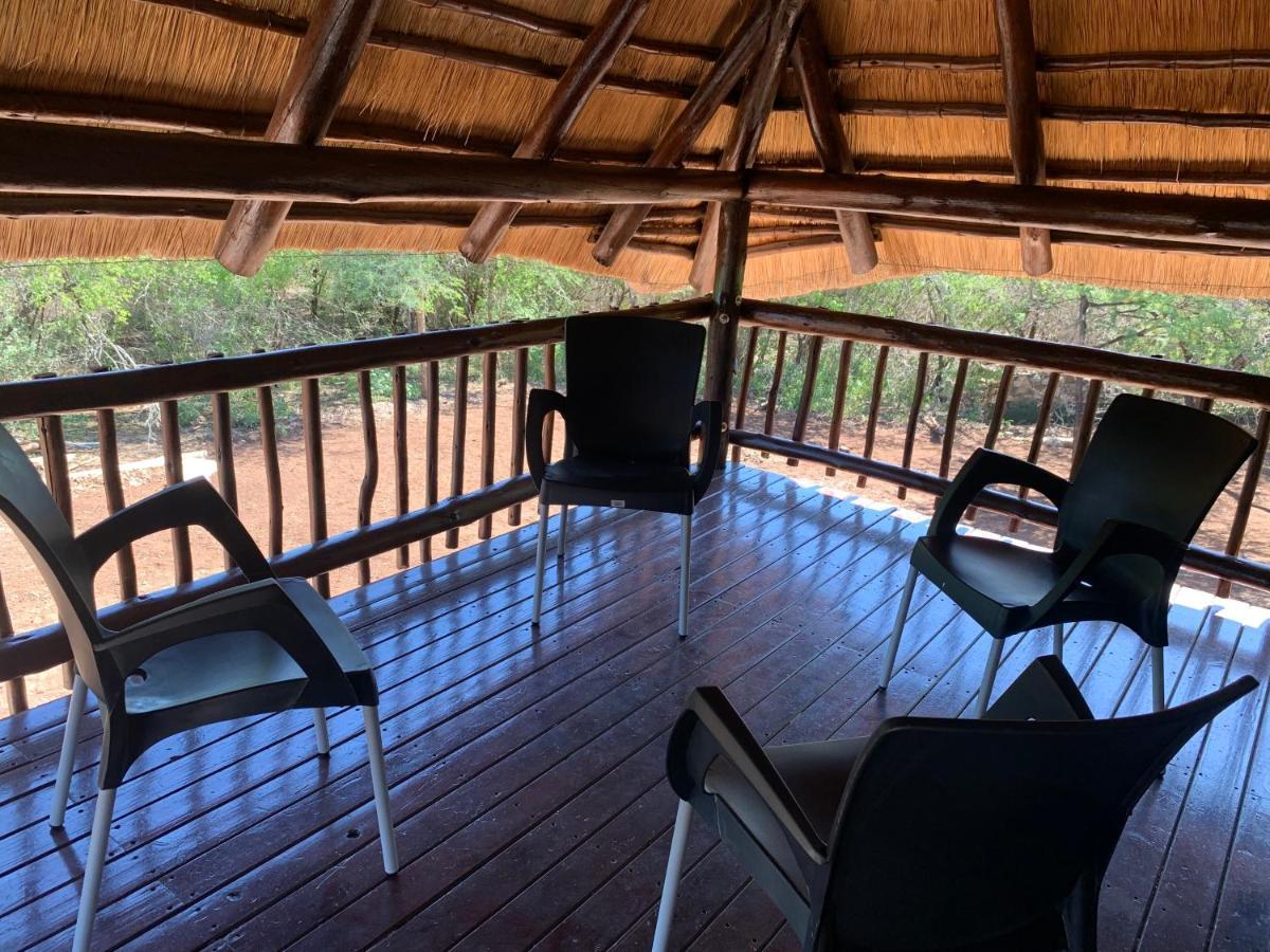 Kruger Nest