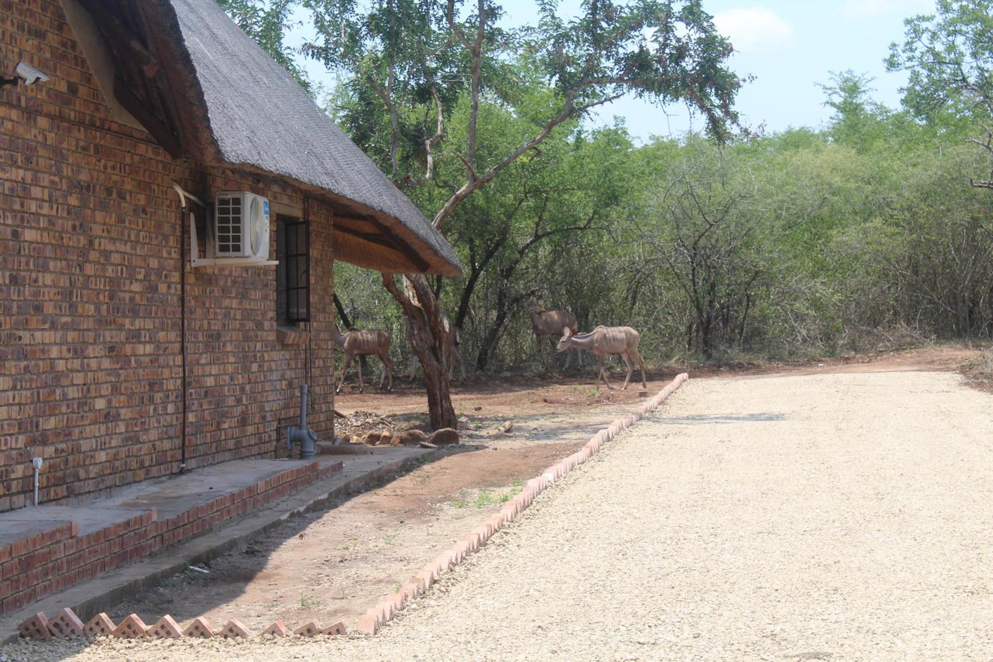Vakantiehuis Kruger Nest