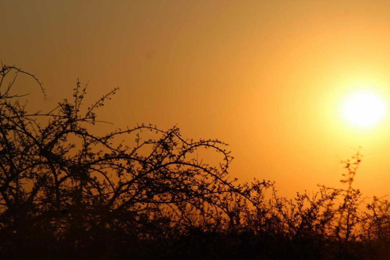Kruger Nest Vakantiehuis *