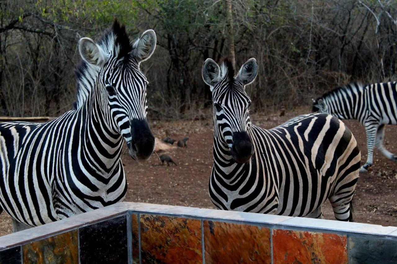 Kruger Nest Vakantiehuis Marloth Park